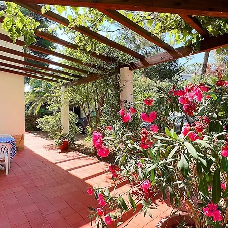 Ai Pini A Punta Perla - Goelba Villa