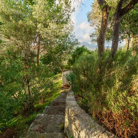 Ai Pini A Punta Perla - Goelba Villa Capoliveri (Isola d'Elba)